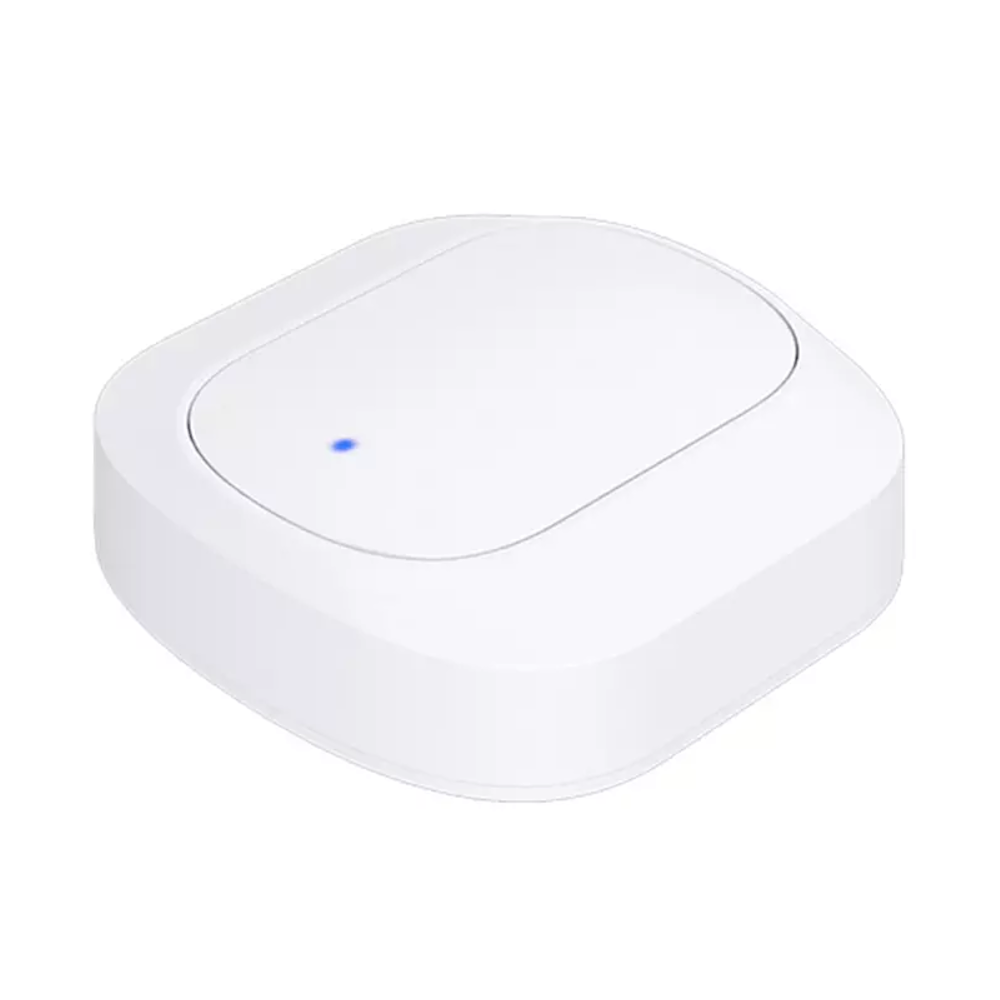 Zigbee Wireless Switch Button